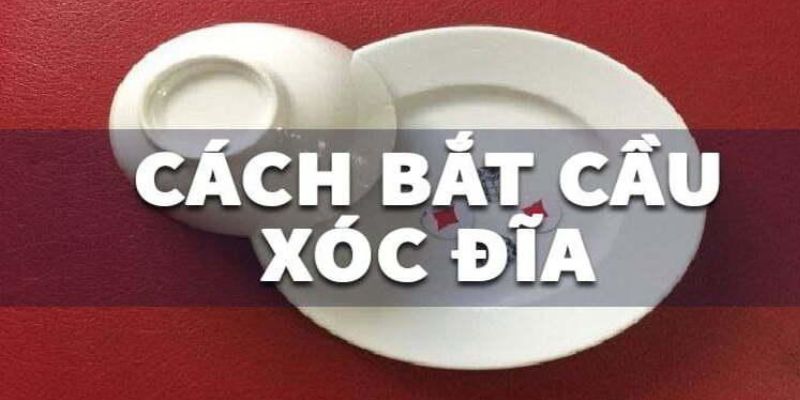 Một số bước cơ bản để có cách bắt cầu xóc đĩa hiệu quả